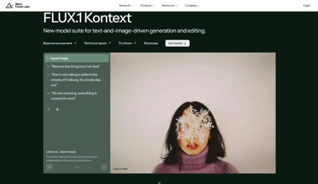 深入解析FLUX.1 Kontext：上下文模型的核心技术